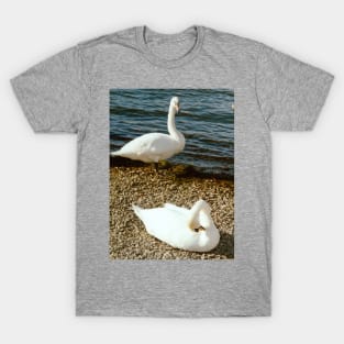 Swan song T-Shirt